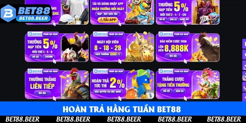 Hoàn Trả Hằng Tuần Bet88 - 3 Thông Tin Phải Nắm Vững 2025